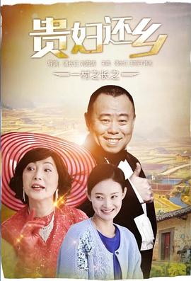 情比山高 封面图